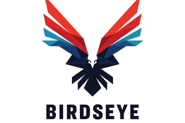 Birdseye Surveillance